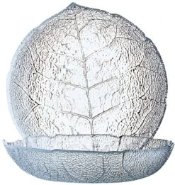 3x Platzteller Aus Edelstahl, Hochglänzend, Mit Geschlossener Umlaufkante Höhe: 1,5 Cm, -Contacto Küchenausstattung Verkäufe 67e42fc5 0438 4c50 944d 77f75dfc0b3c